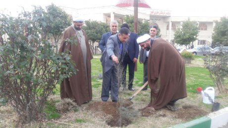 کاشت سه هزار اصله درخت و نهال به مناسبت هفته درختکاری در میادین و پارک های سطح شهر